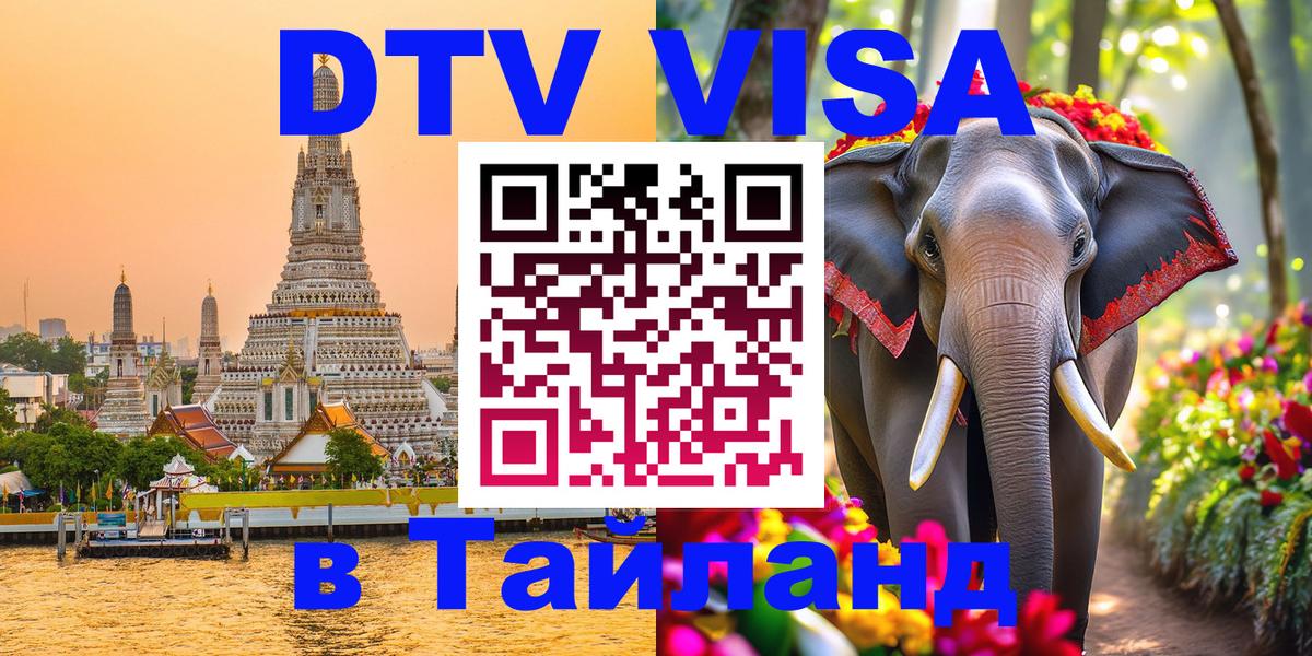 Оформление DTV визы под ключ: стоимость и тарифы, только загранпаспорт - 